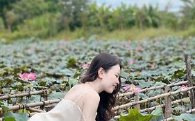 Phu Dien Homestay