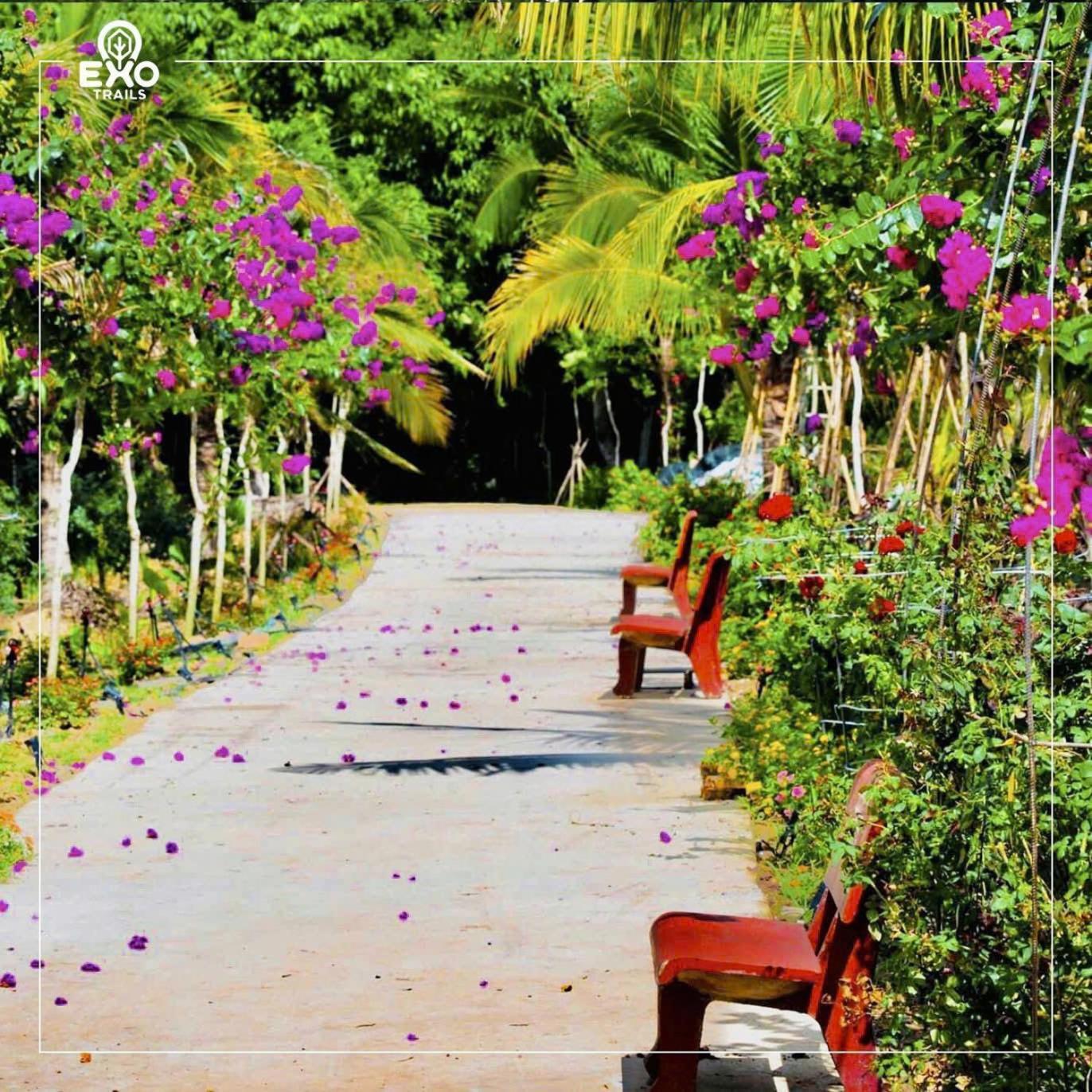 Phu Dien Homestay Cát Tiên Ngoại thất bức ảnh